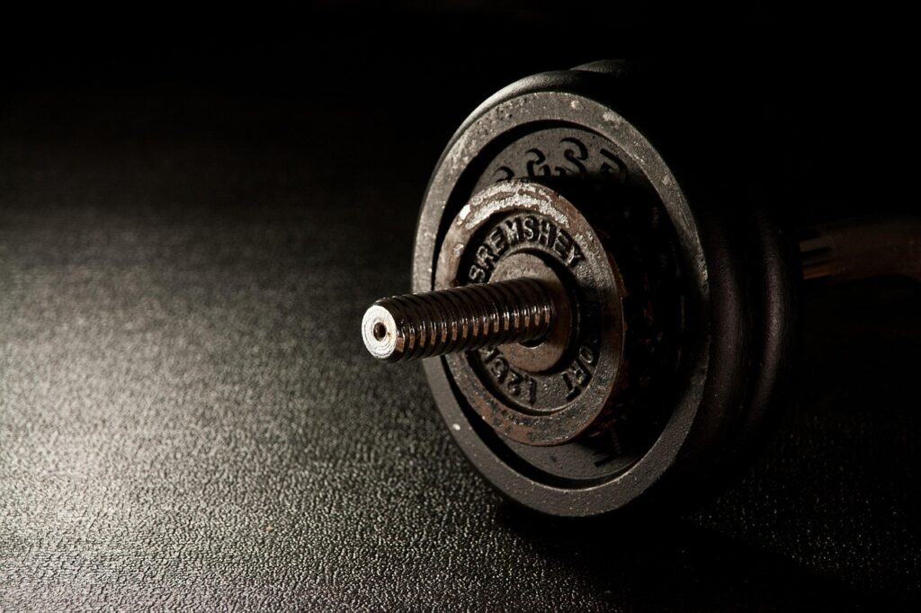fitness, weight, dumbbell, gym, fitness center, weight lifting, weight training, fit, gym, gym, gym, gym, gym